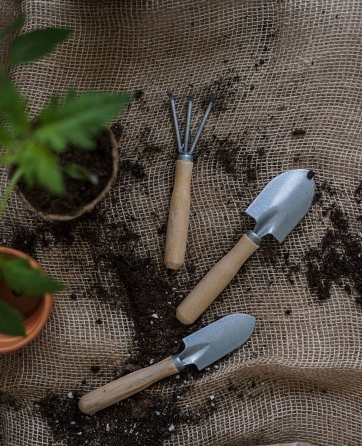 lawn-01 gardening tools 01